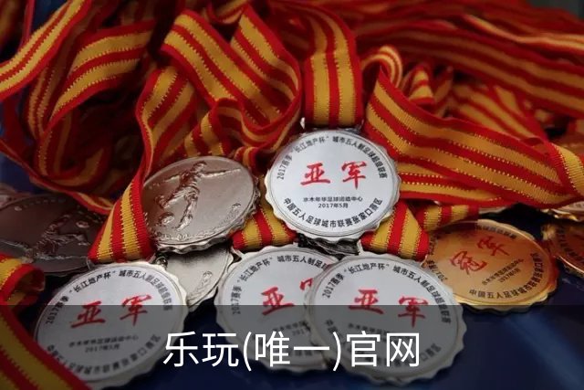 乐玩(唯一)官网公司简介图片